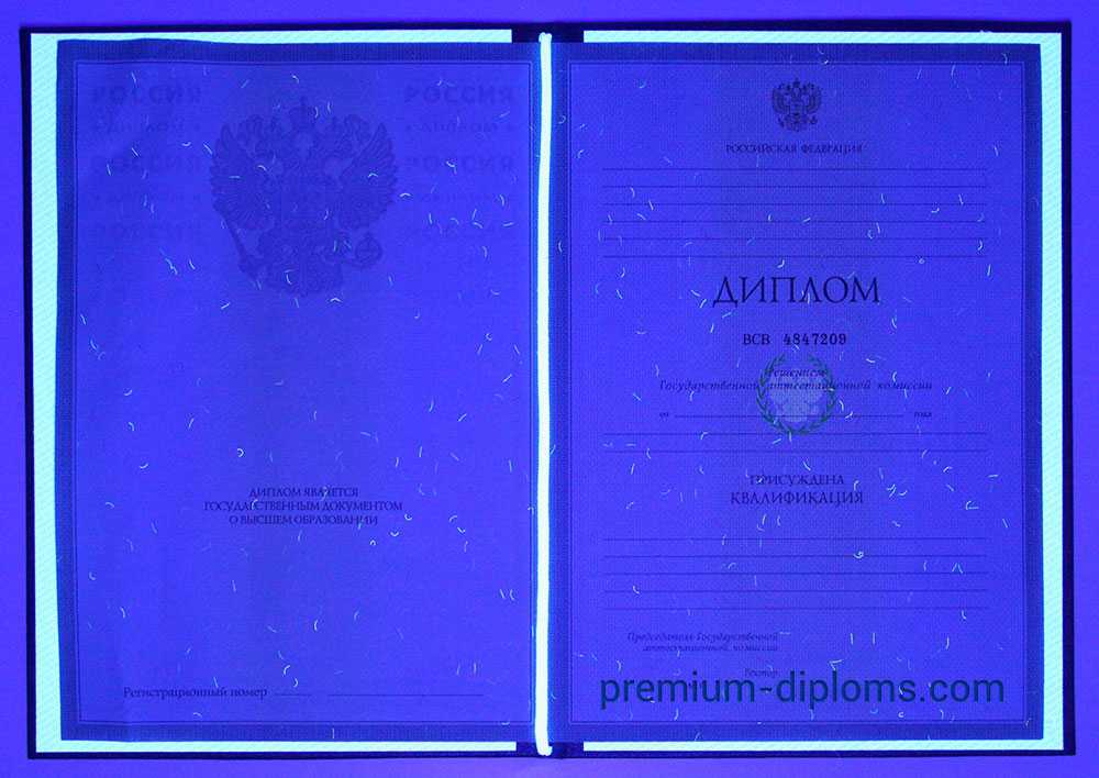 Диплом магистра 2004-2009 год фото Диплом магистра 2004-2009 год фото